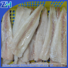 Frozen Alaska Pollock fish Fillets manufacture price